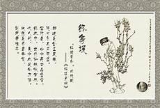 红楼之绛珠本是仙凤凰